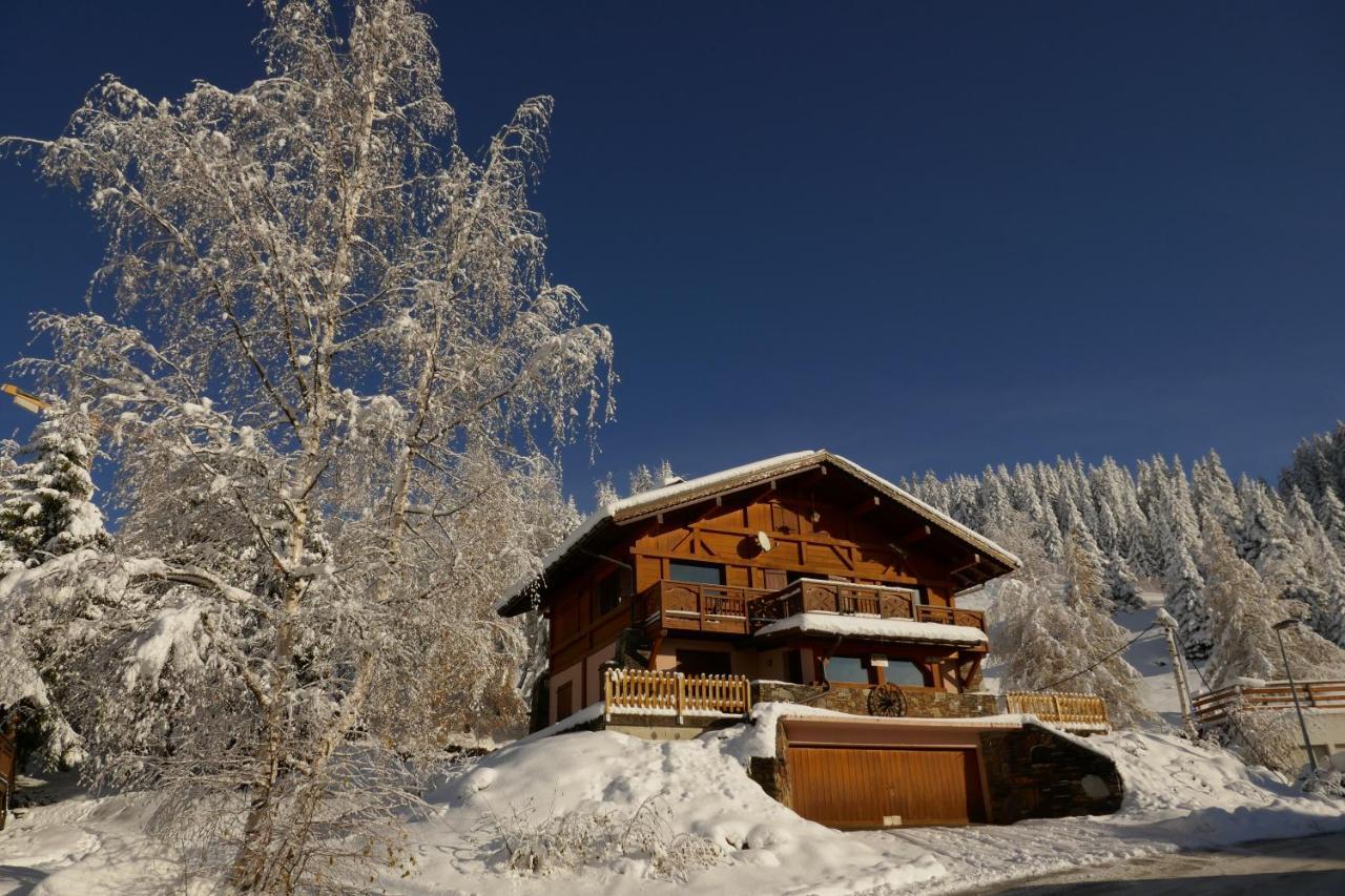 Les Saisies Cote Bisanne Appartement Dans Chalet Le Nepal Kültér fotó