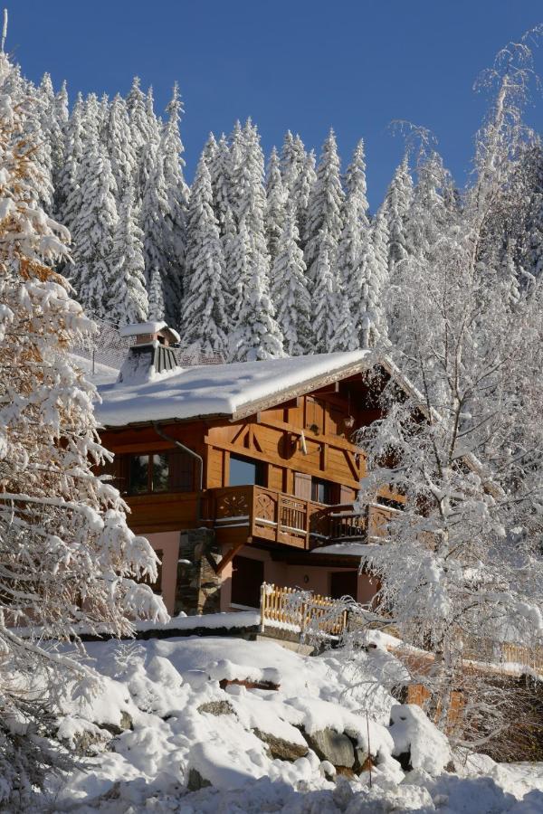 Les Saisies Cote Bisanne Appartement Dans Chalet Le Nepal Kültér fotó